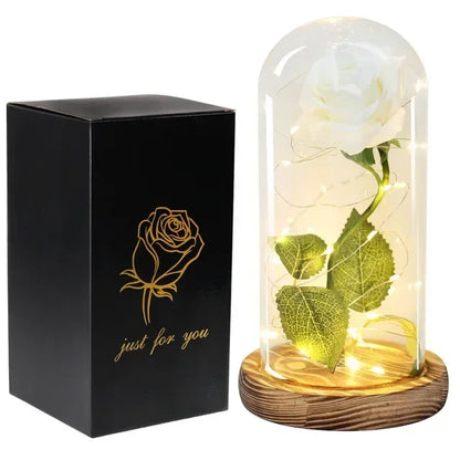 Enchanted Eternal Rose – Beauty and the Beast Inspired Glass Dome Flower